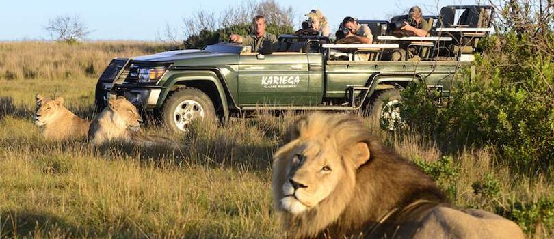 Seaview Predator Park