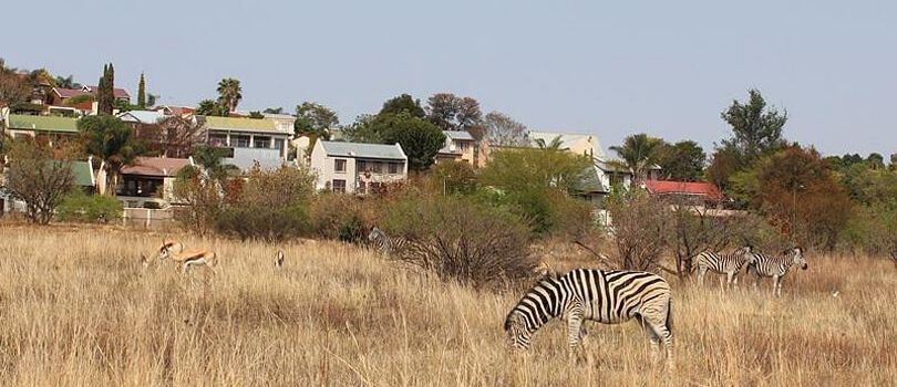 Moreleta Kloof Nature Reserve
