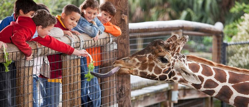 National Zoological Gardens of South Africa