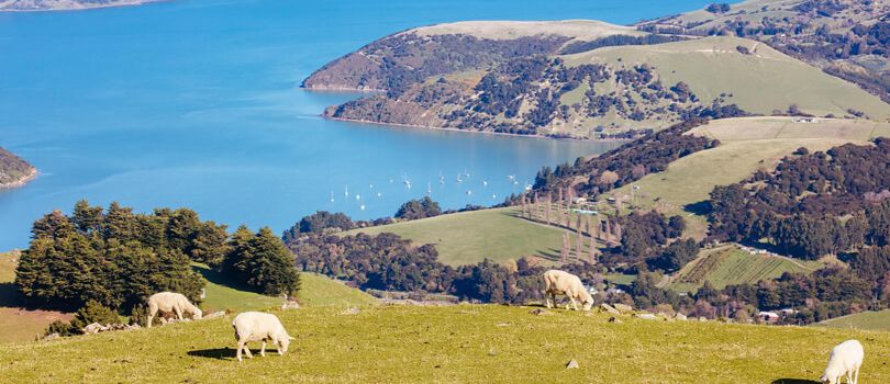 Willowbank Wildlife Reserve