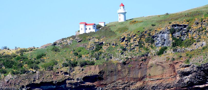 Taiaroa Head