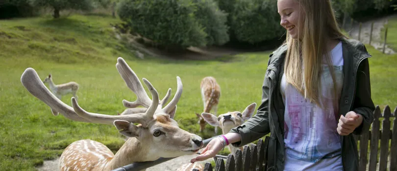 Paradise Valley Springs