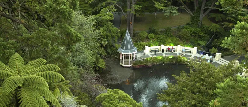 Wellington Botanic Gardens