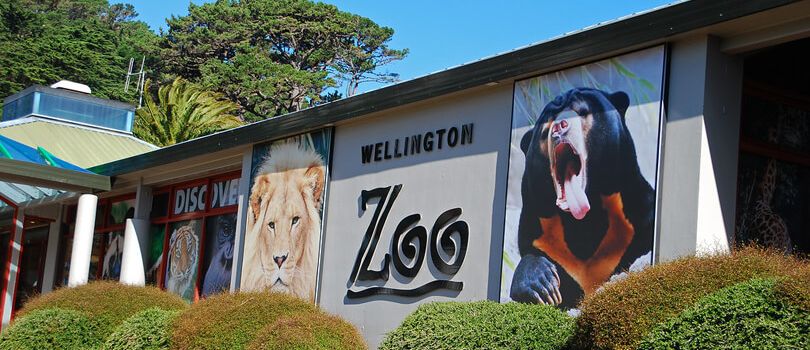 Wellington Zoo