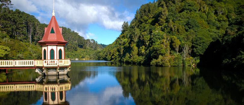 Zealandia in Wellington
