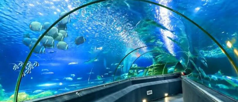 Museum of Oceanography