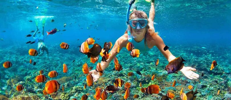 Snorkelling in Phu Quoc