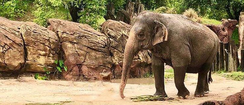 Lombok Wildlife Park