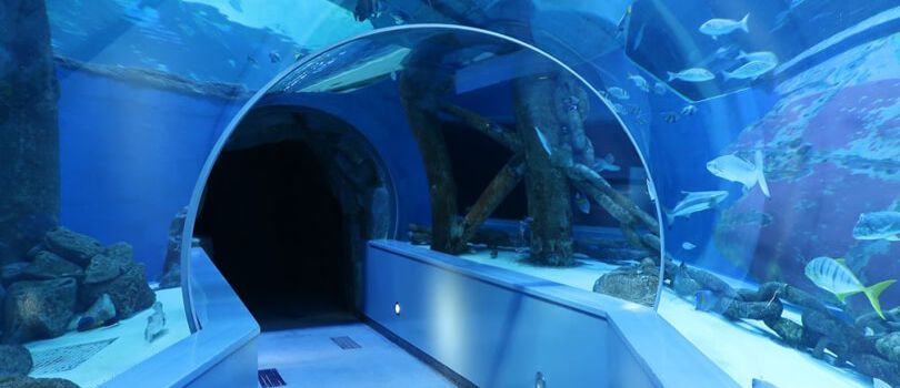 Sharjah Aquarium