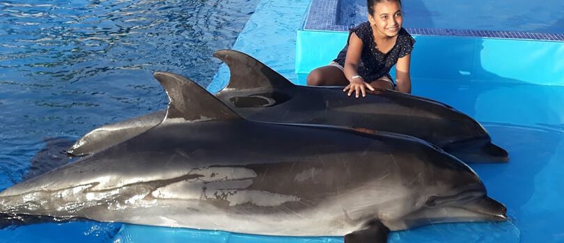 Agadir Dolphin World