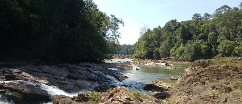Endau Rompin National Park