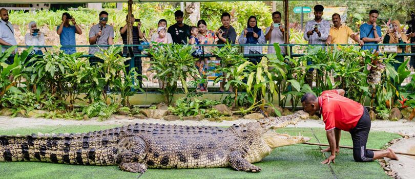 Crocodile Adventureland Langkawi