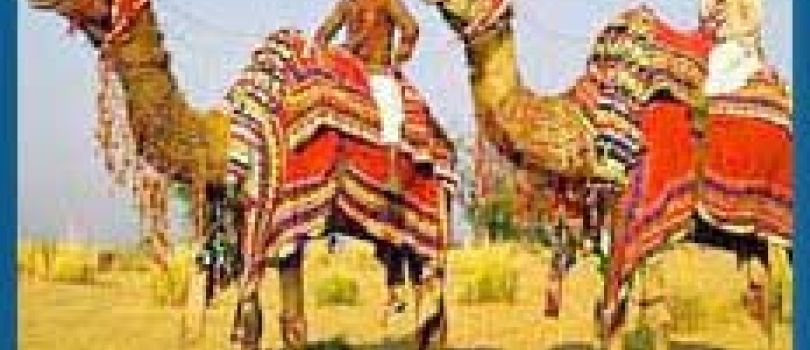 11N/12D Rajasthan Tour