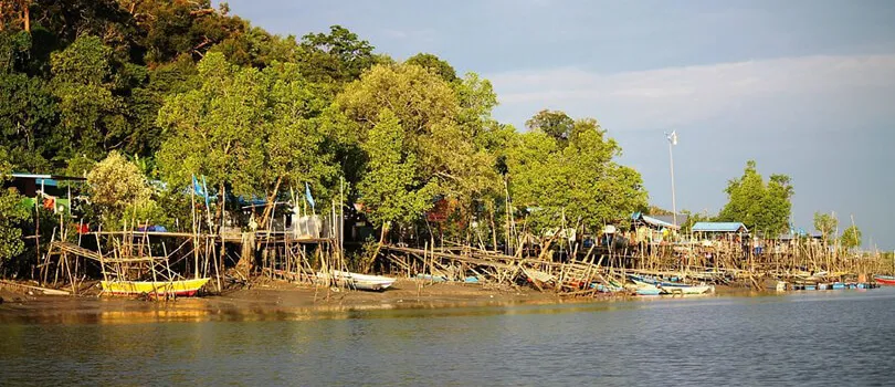 Kuching Wetlands National Park