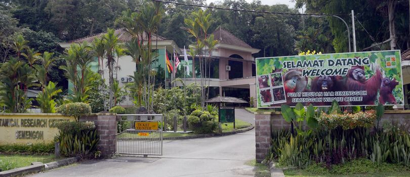 Semenggoh Nature Reserve