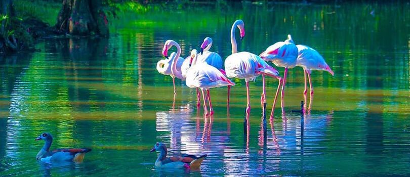 Putrajaya Wetlands Park