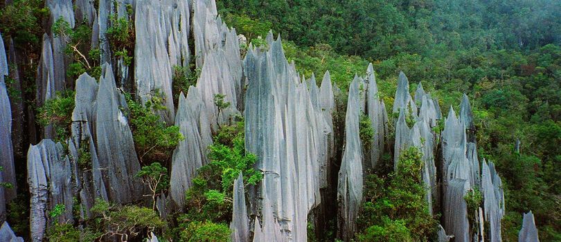 Gunung Mulu National Park