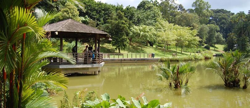 Singapore Botanic Gardens