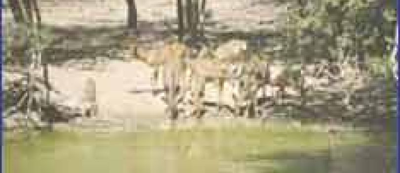 Lengwe National Park