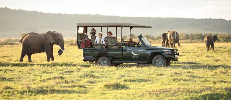 Game Drives Safari