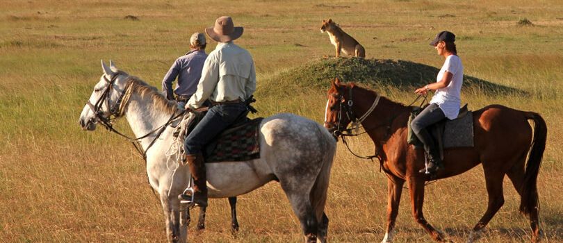 Horse Riding in Masai Mara
