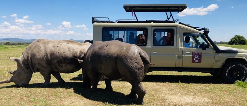 Ol Pejeta Conservancy