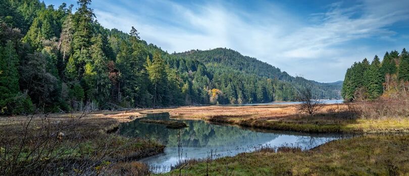 Goldstream Provincial Park