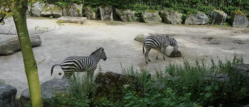 Le Zoo de Lille
