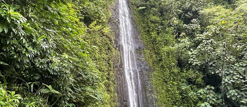 Manoa Falls
