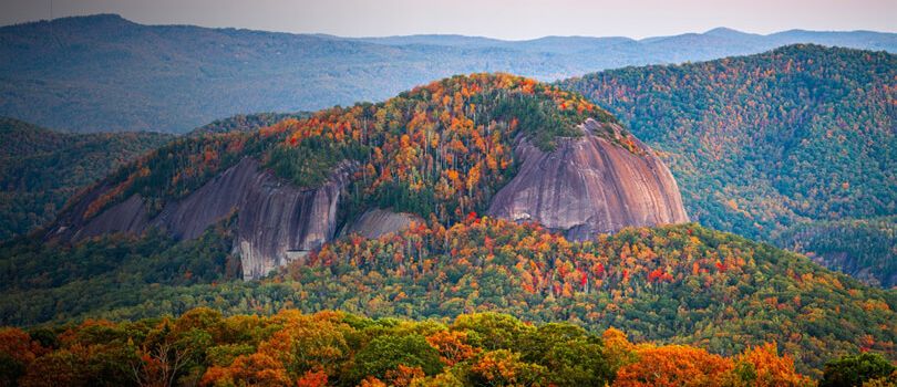 Pisgah National Forest