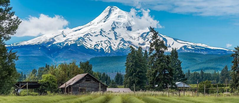 Mount Hood