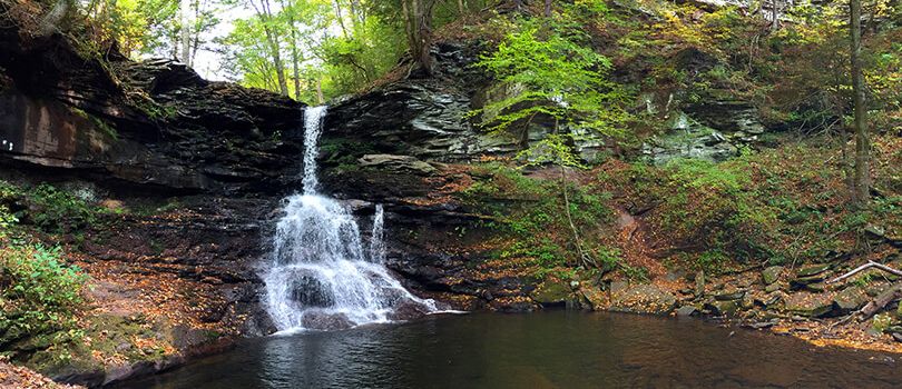 Ricketts Glen State Park