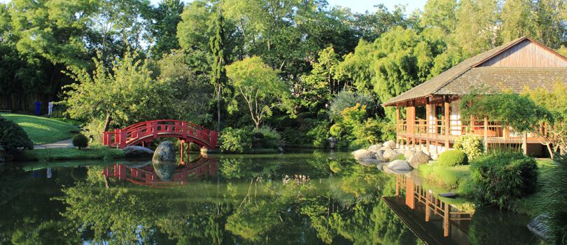 Jardin Japonais