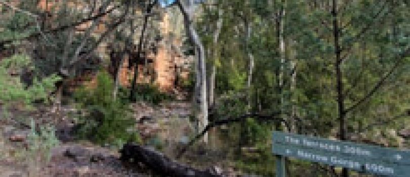 Mount Remarkable National Park