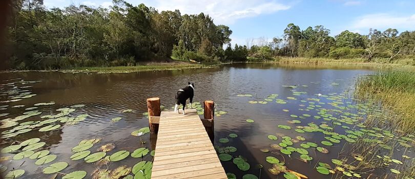 Cunnawarra National Park