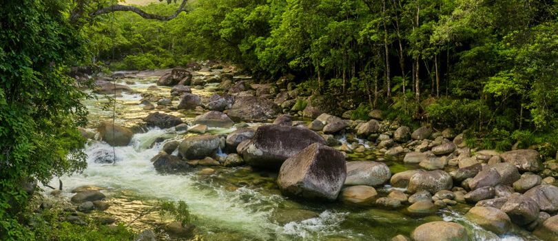 Daintree National Park