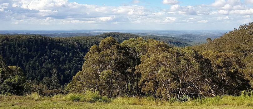 Bunya Mountains National Park