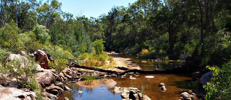 Crows Nest National Park
