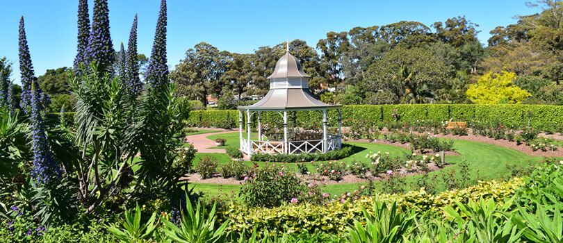 Wollongong Botanic Garden