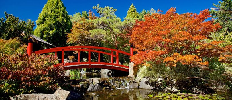 Royal Tasmanian Botanical Gardens