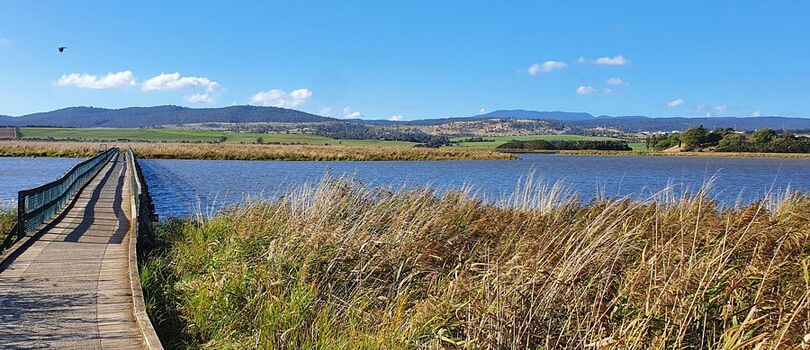 Tamar Island Wetlands