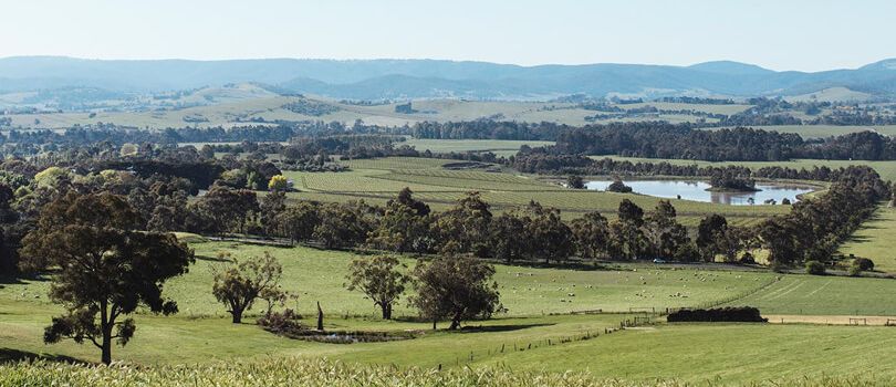 Yarra Valley