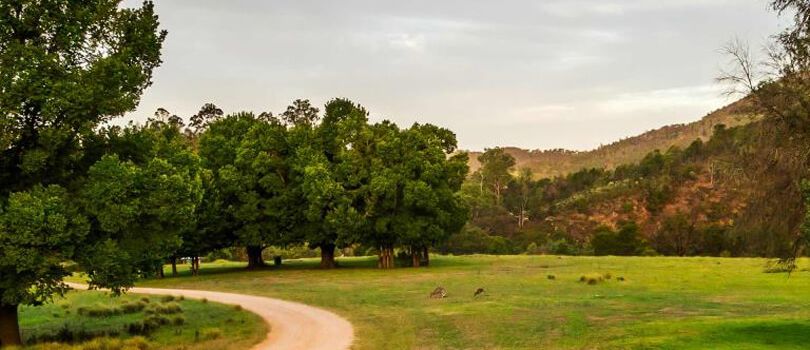 Mitchell River National Park
