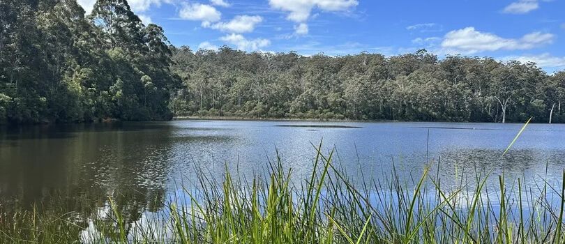 Beedelup National Park