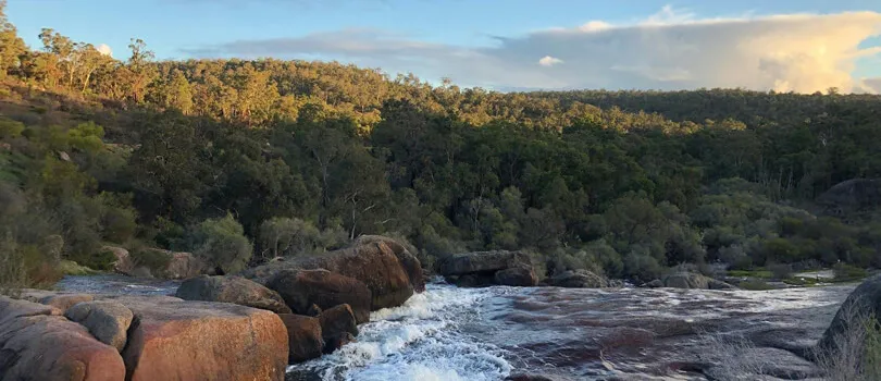 John Forrest National Park