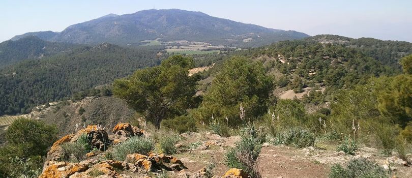 El Valle y Carrascoy Regional Park