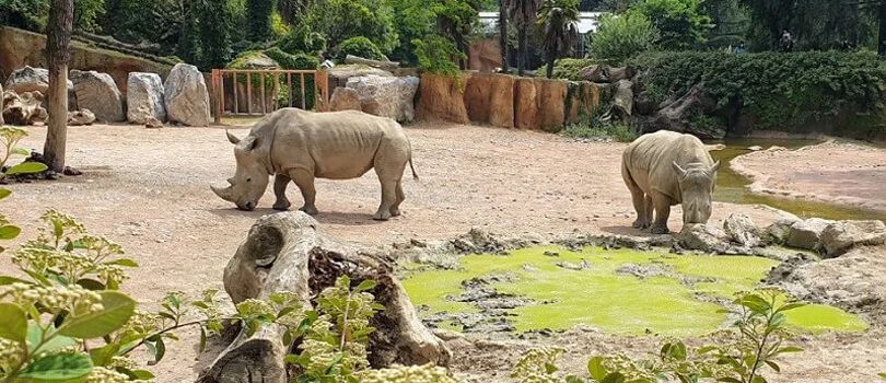 Parco Faunistico Le Cornelle