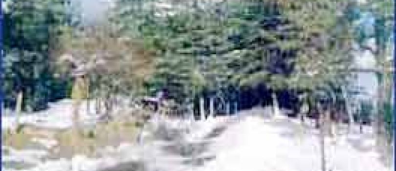 Shimla Manali Kullu Tour Package 5 Night 6 Days Delhi To Delhi