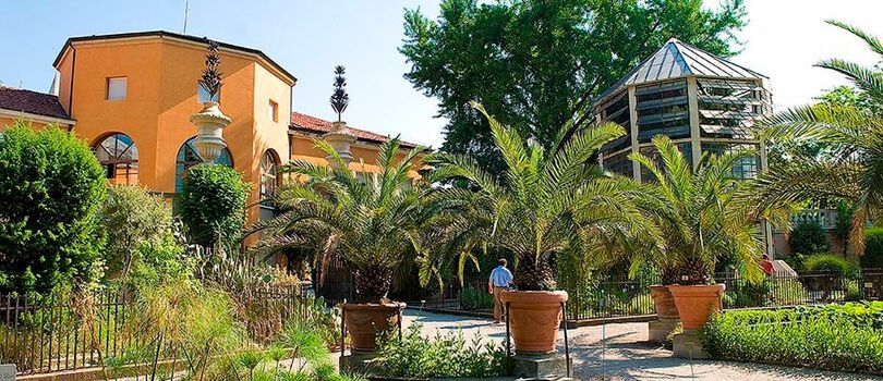 The Botanical Garden of Padova