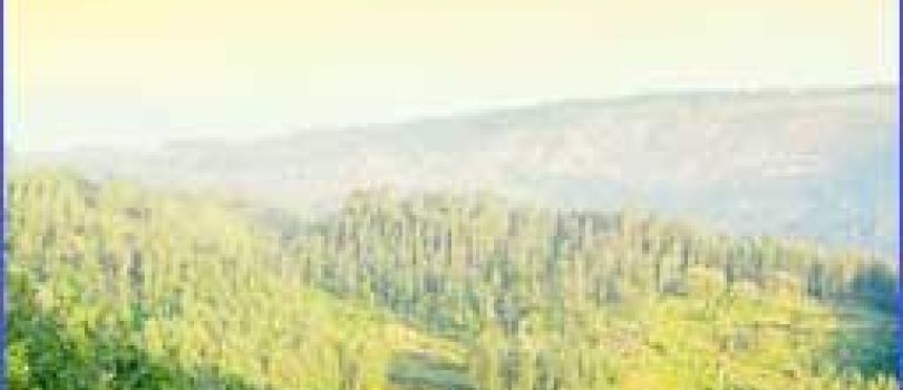 2 Nights at Yercaud